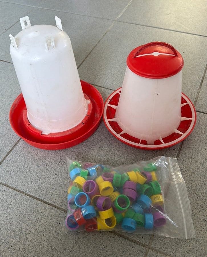 Kippen- voedersilo, watersilo en ringen, Ophalen of Verzenden, Gebruikt, Drinken en Voederen