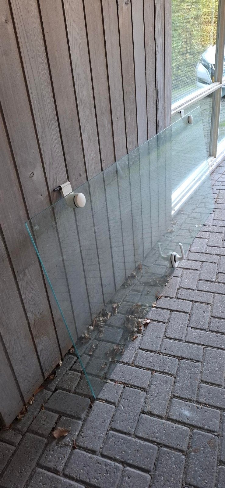 Gratis af te halen: Glazen binnendeur, Doe-het-zelf en Verbouw, Ophalen, Gebruikt, 80 tot 100 cm, Binnendeur