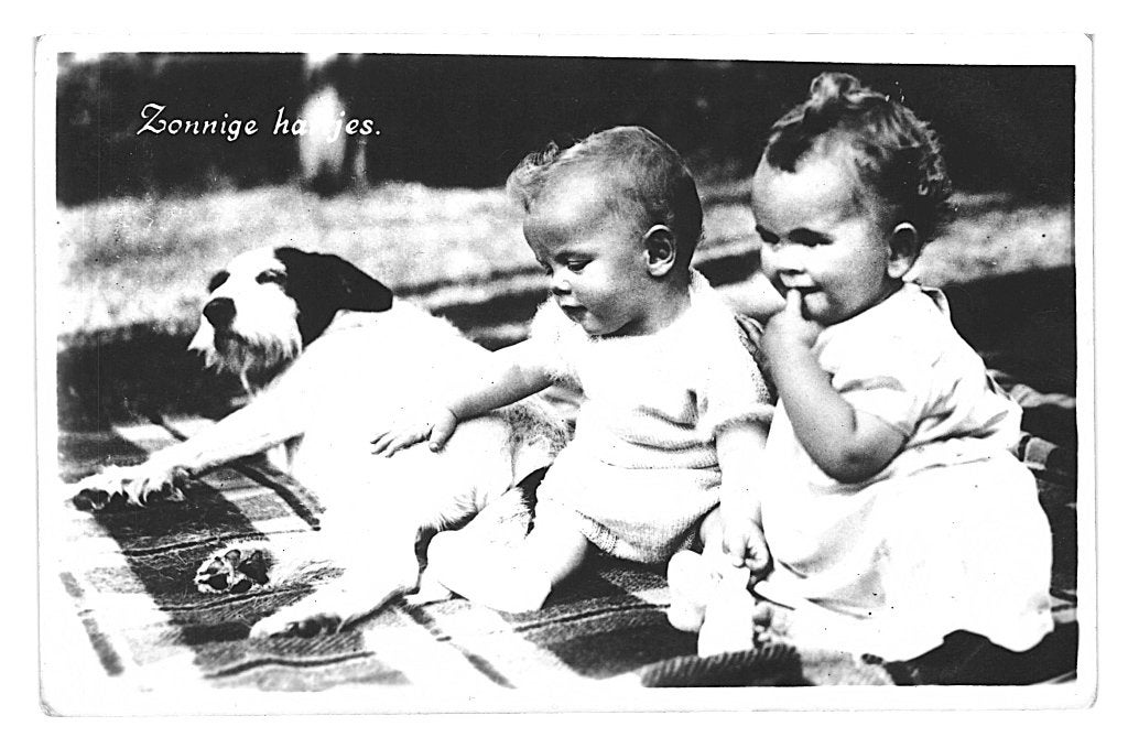 972857	Hond baby peuter	1936	Zonnige hartjes	Gelopen m zegel, Ophalen of Verzenden, 1920 tot 1940, Gelopen, Kinderen