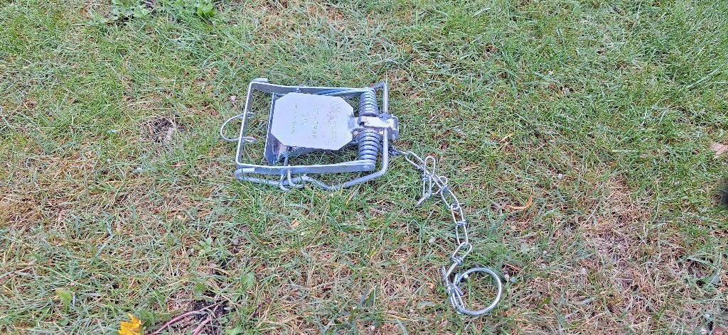 Rattenklem, Ophalen of Verzenden, Zo goed als nieuw, Ongediertebestrijding