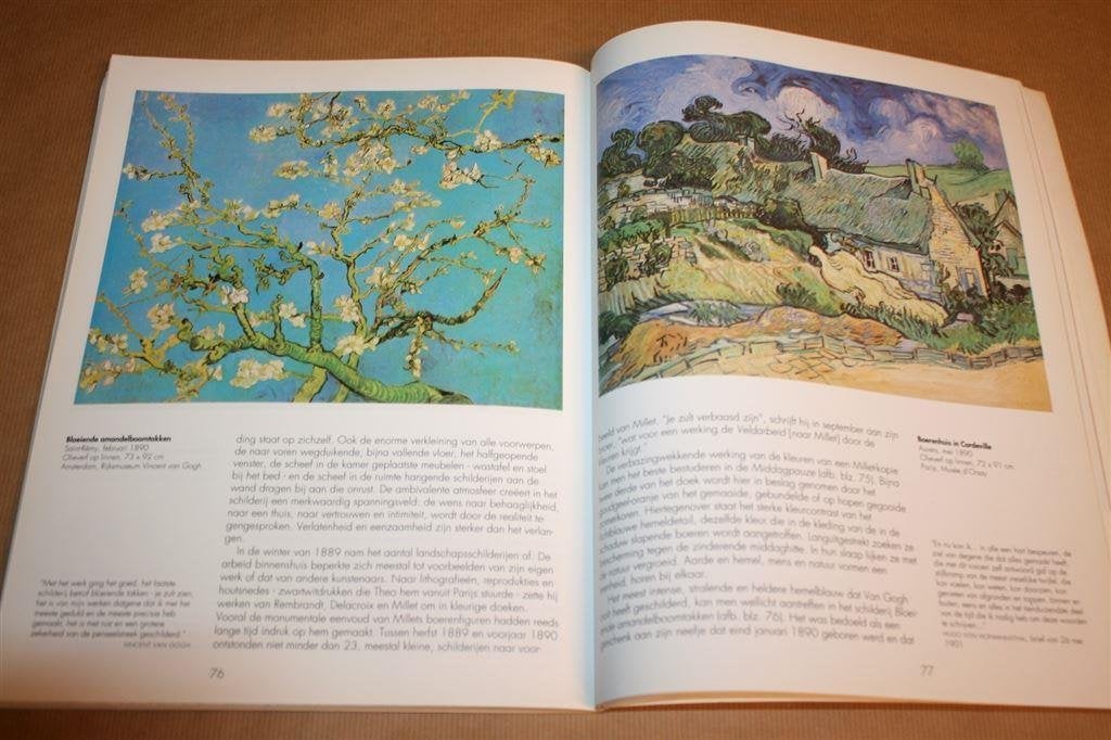 Vincent van Gogh - Visie en werkelijkheid, Ophalen of Verzenden, Gelezen