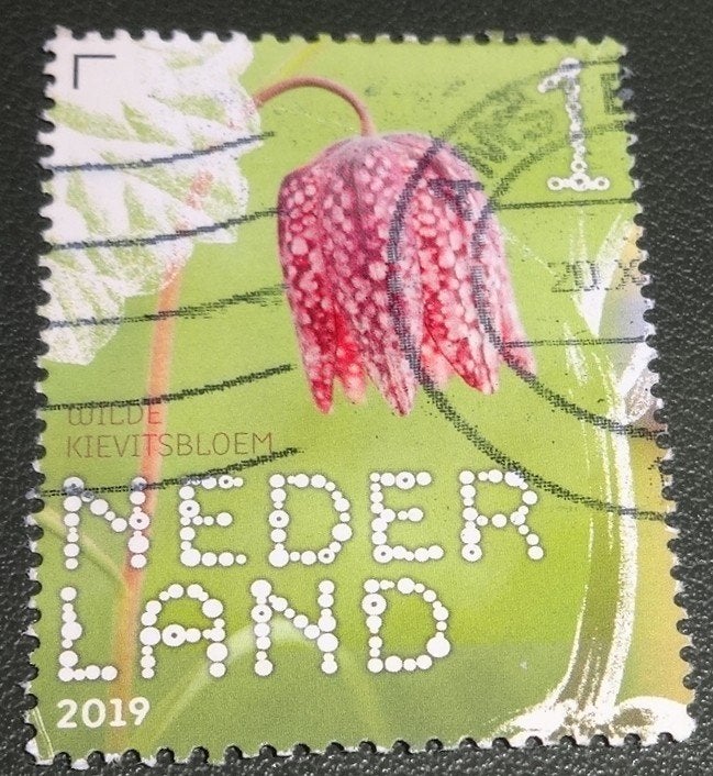 Beleef de Natuur - 3731 2019 - Wilde Kievitsbloem - PNe01-11, Verzenden, Na 1940, Gestempeld