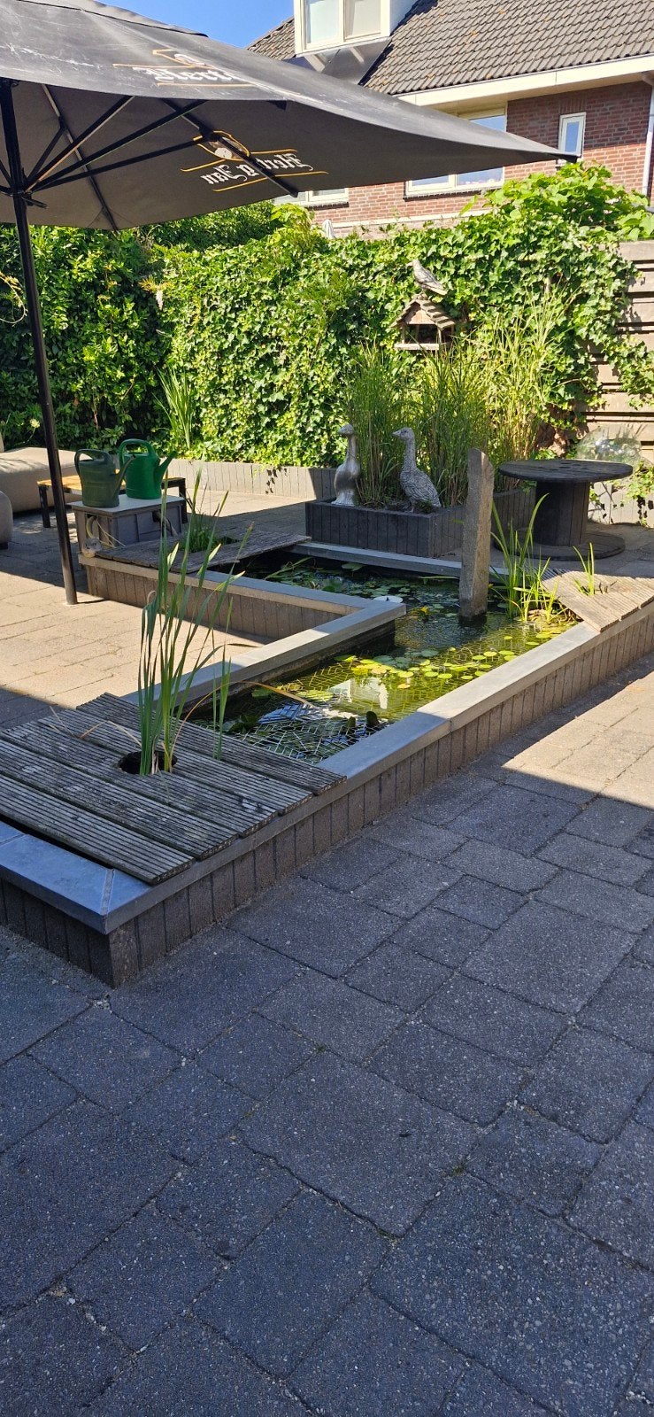 Complete vijver met accessoires en koikarpers, Tuin en Terras, Ophalen