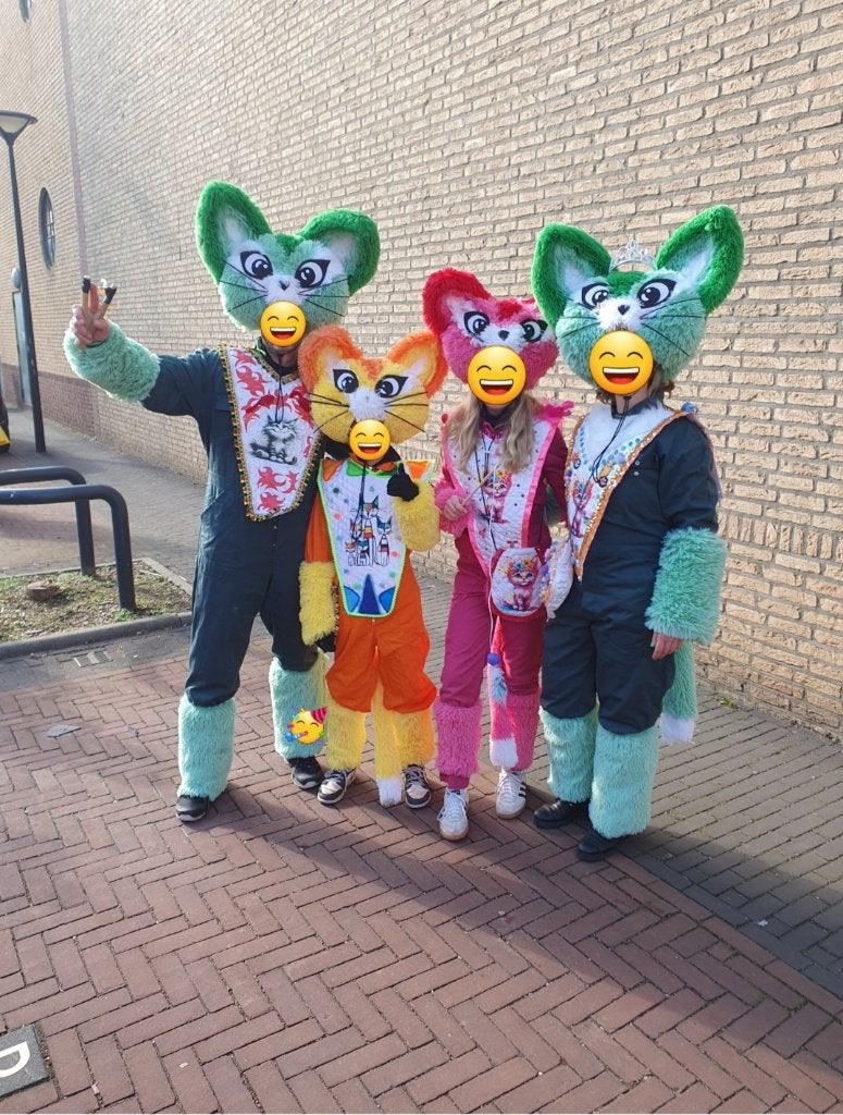Carnavalsgroep poes/kat, Kleding | Dames, Carnavalskleding en Feestkleding, Carnaval, Zo goed als nieuw, Kleding, Handgemaakt