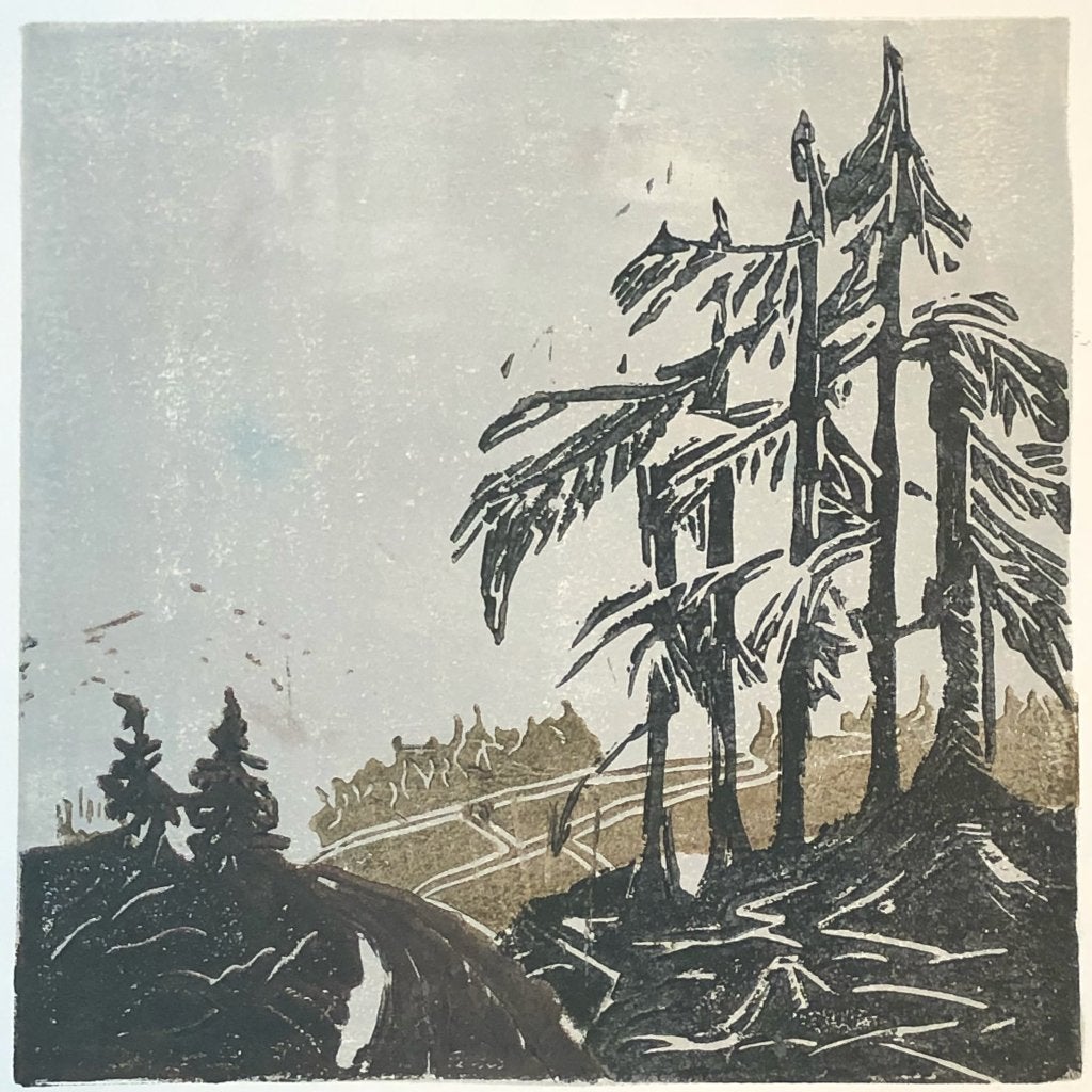 Mooie kunst v/h Grafiekkabinet Bospad met naaldbomen, Antiek en Kunst, Kunst | Etsen en Gravures, Ophalen of Verzenden