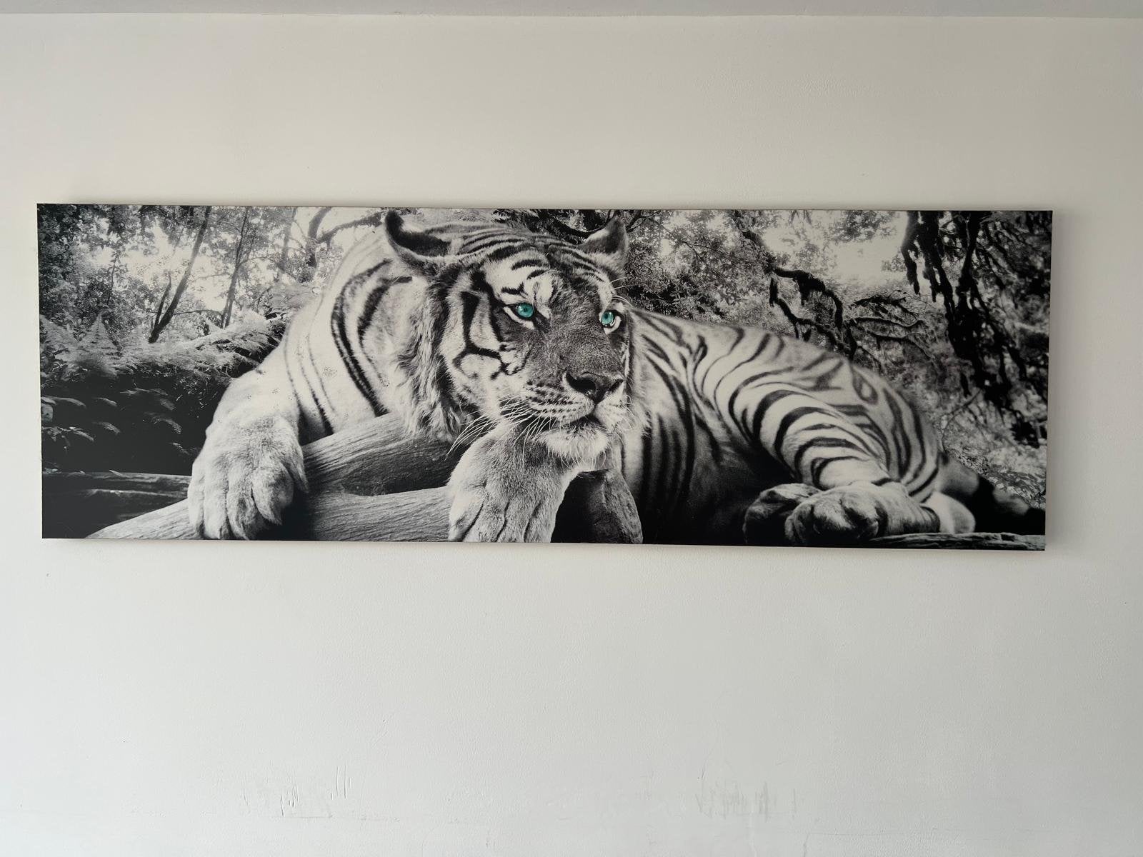 Schilderij (foto) tijger, Ophalen