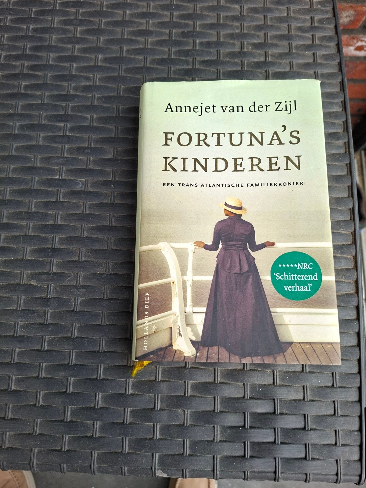 Annejet van der Zijl. Fortuna's kinderen., Ophalen of Verzenden, Zo goed als nieuw