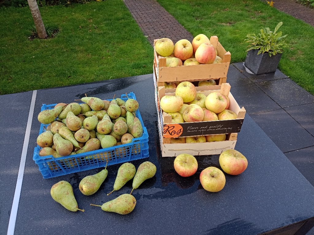 Appels en peren - dagelijkse verkoop in Kampen, Ophalen