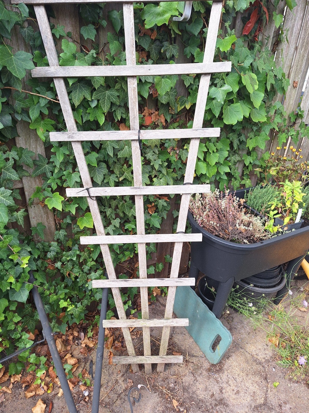 Plantenrek, Ophalen, Overige typen, Minder dan 2 meter