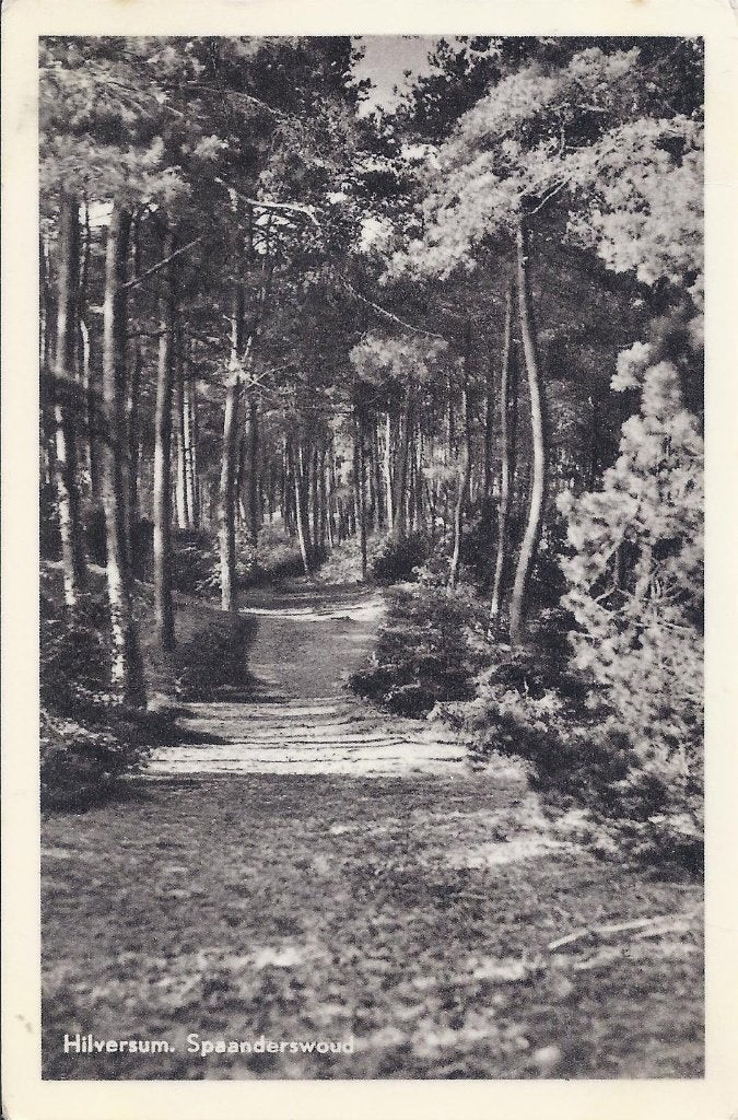Hilversum Spaanderswoud Oude Gelopen Ansichtkaart ( B990 ), Ophalen of Verzenden, 1920 tot 1940, Gelopen, Noord-Holland