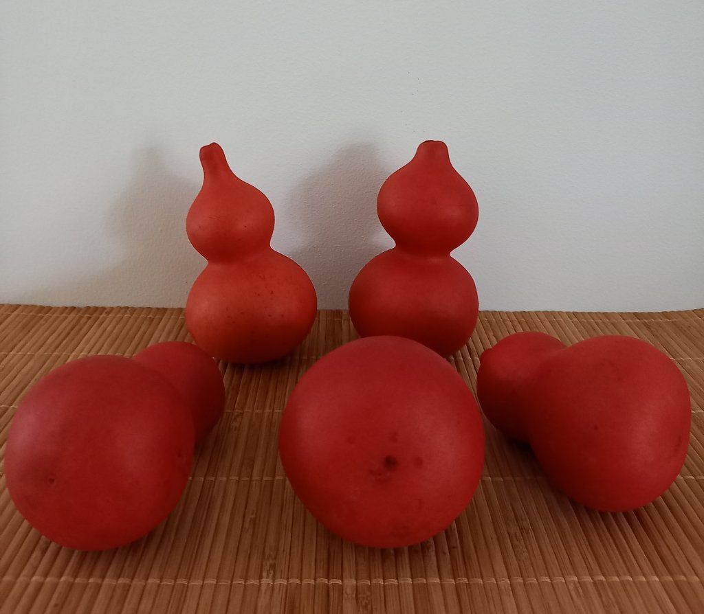 Kalebassen rood, 5 stuks, Ophalen of Verzenden, Nieuw