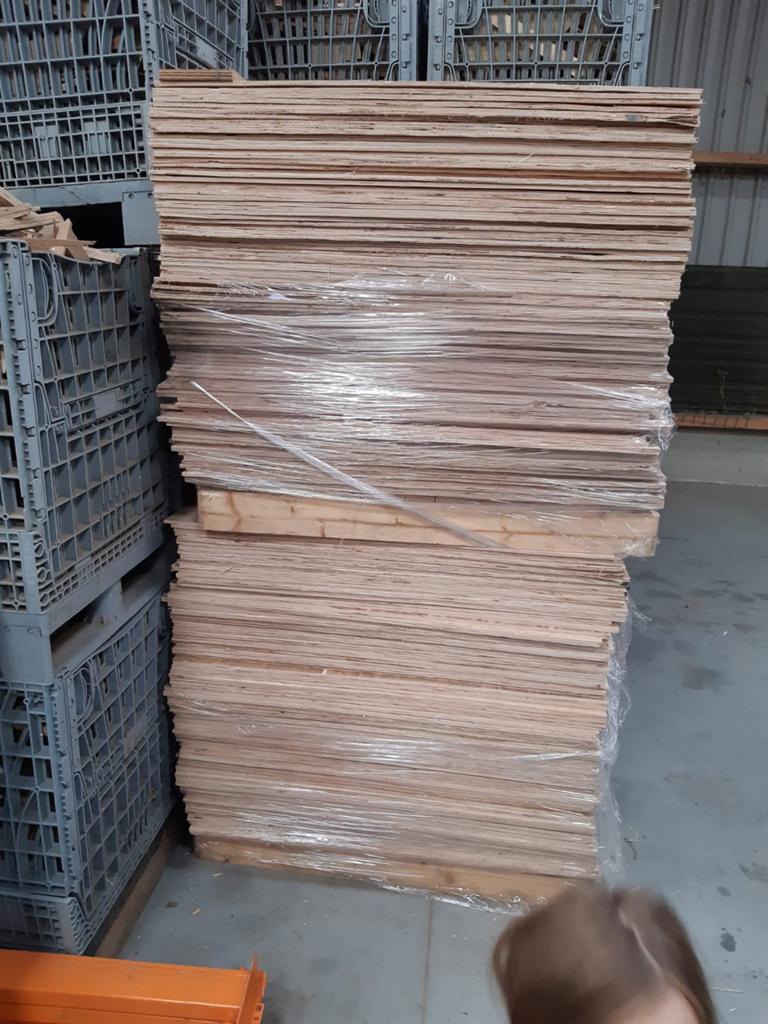Houten triplex multiplex platen, Ophalen, Overige houtsoorten, Minder dan 25 mm, Minder dan 200 cm