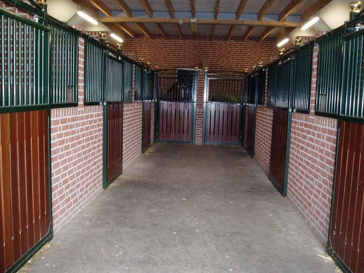 nette stal zoekt gezellige stalgenoot!, Weidegang, 1 paard of pony