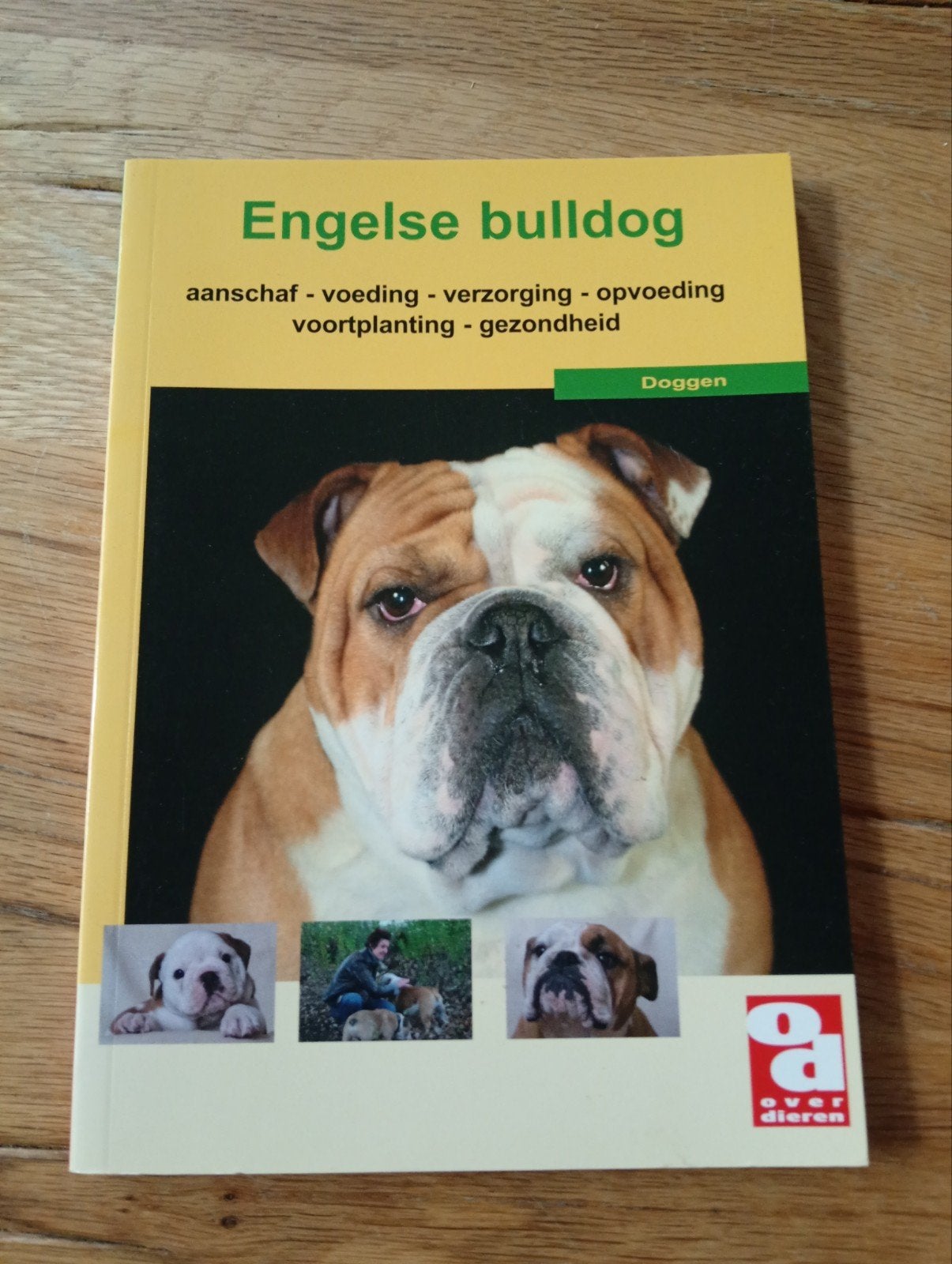 Engelse Bulldog Boek - Over Dieren, Boeken, Ophalen of Verzenden