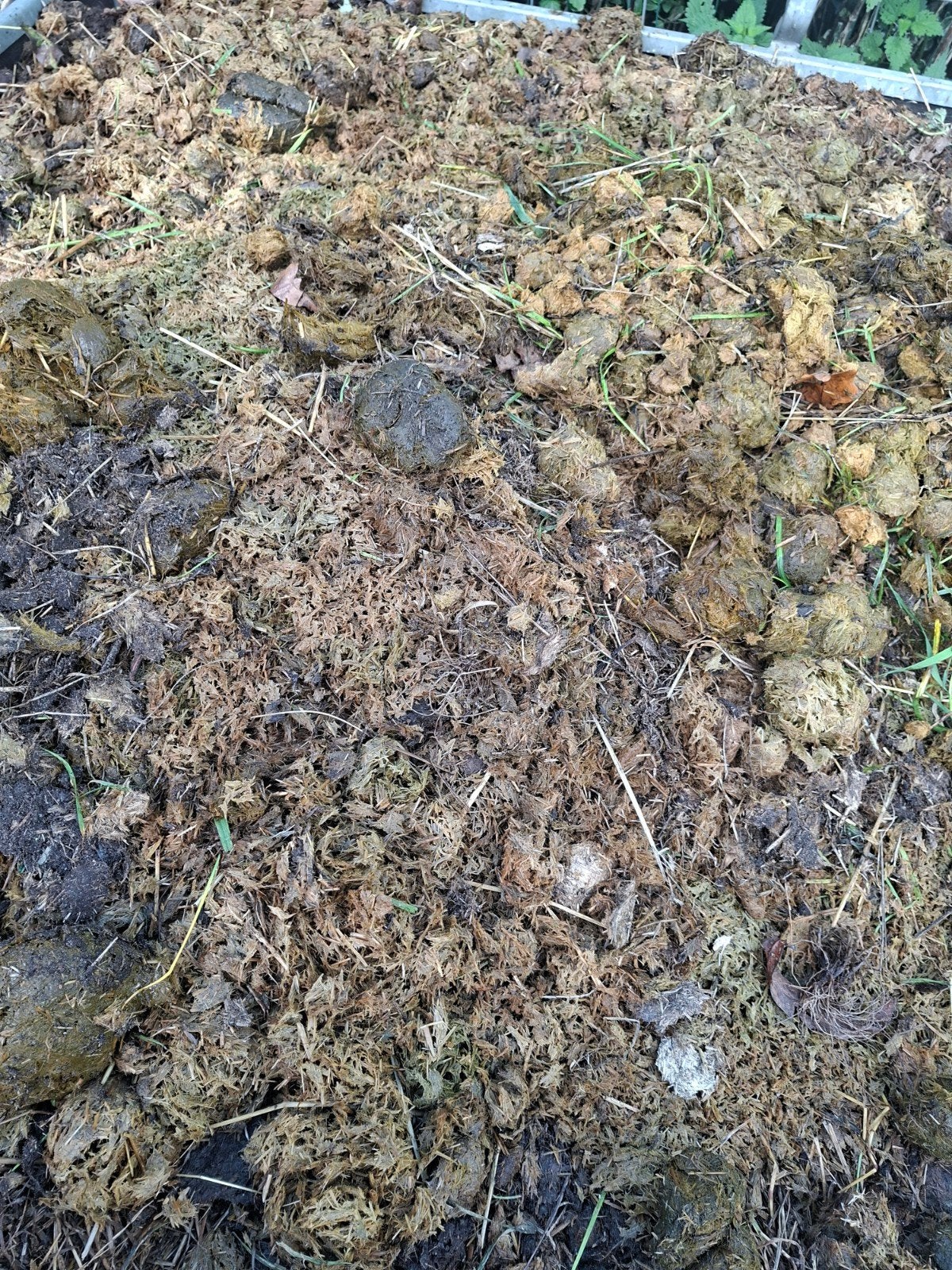 Paardenmest voor moestuin en tuin, Ophalen