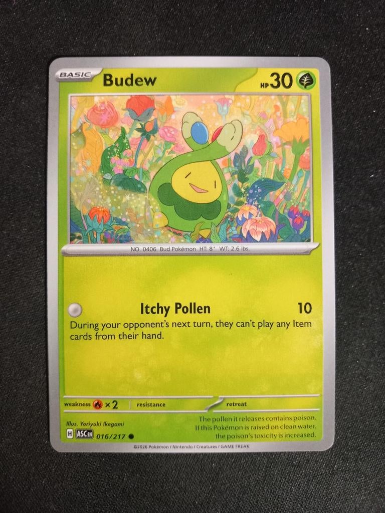 Pokemon Budew 016/217 Ascended Heroes Excellent, Hobby en Vrije tijd, Verzamelkaartspellen | Pokémon, Zo goed als nieuw, Losse kaart