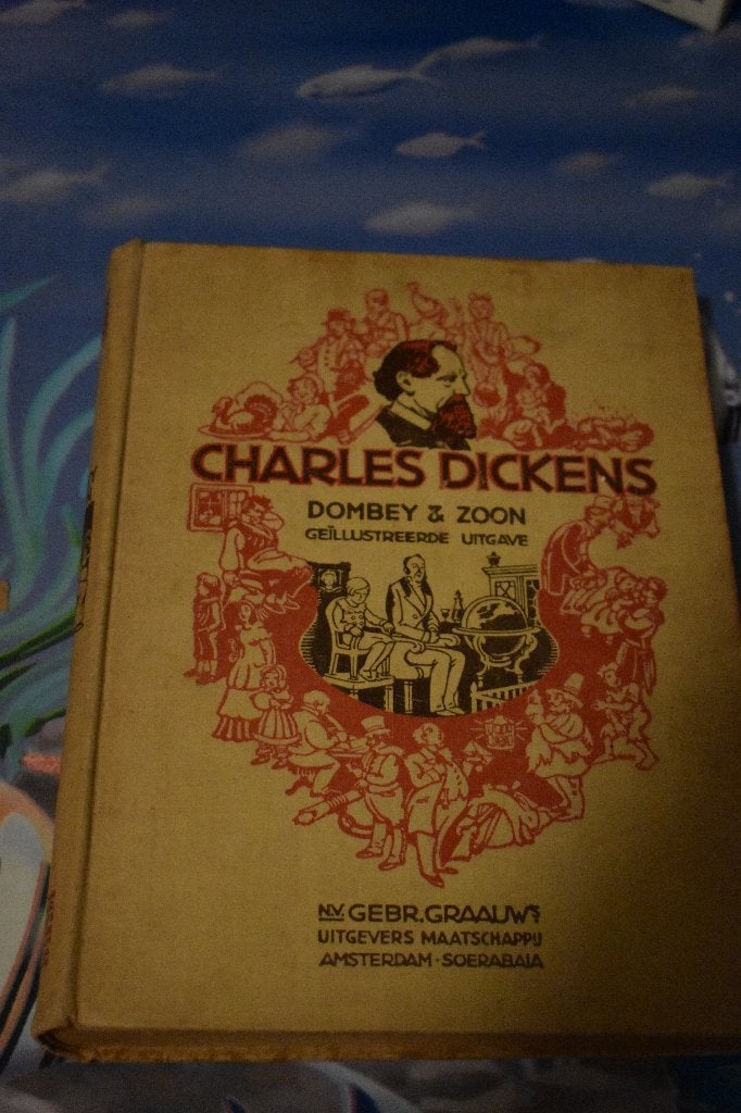 boek van Charles Dickens/Dombey en zoon, Boeken, Ophalen of Verzenden, Gelezen, Charles Dickens