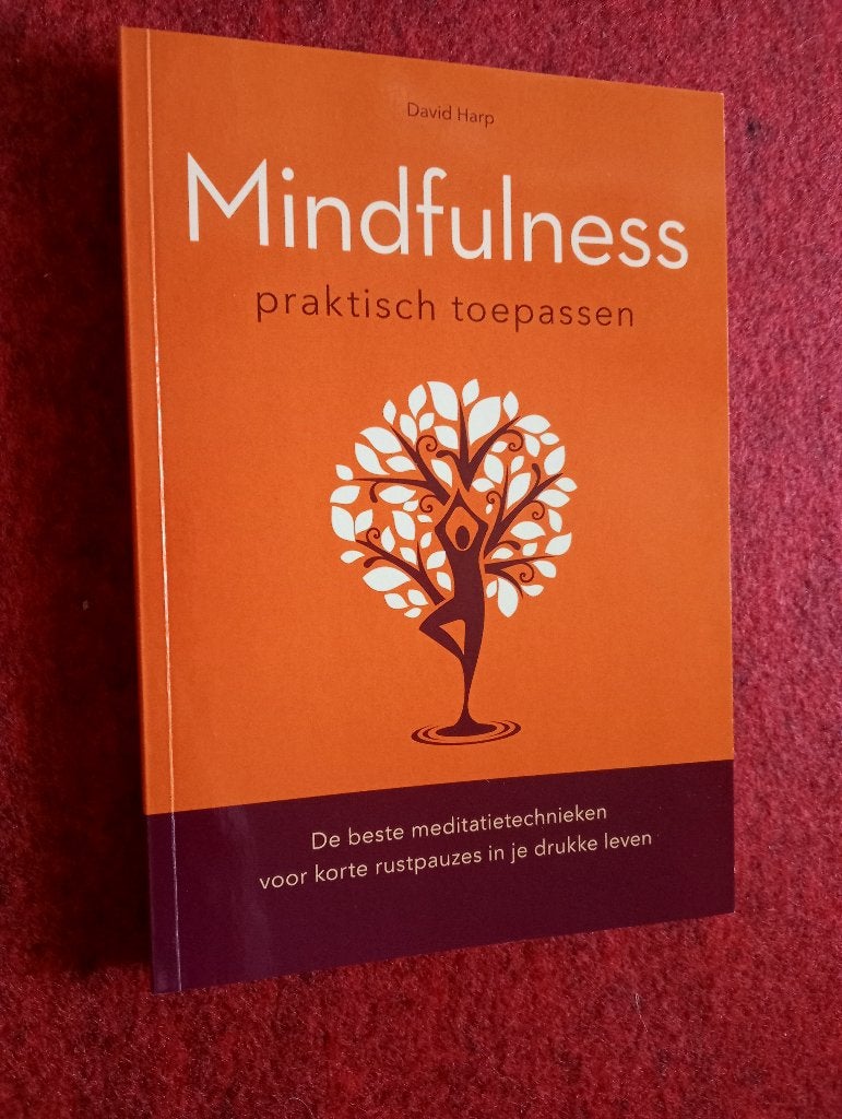 Te koop boek Mindfulness praktisch toepassen, Ophalen of Verzenden, Zo goed als nieuw, David harp