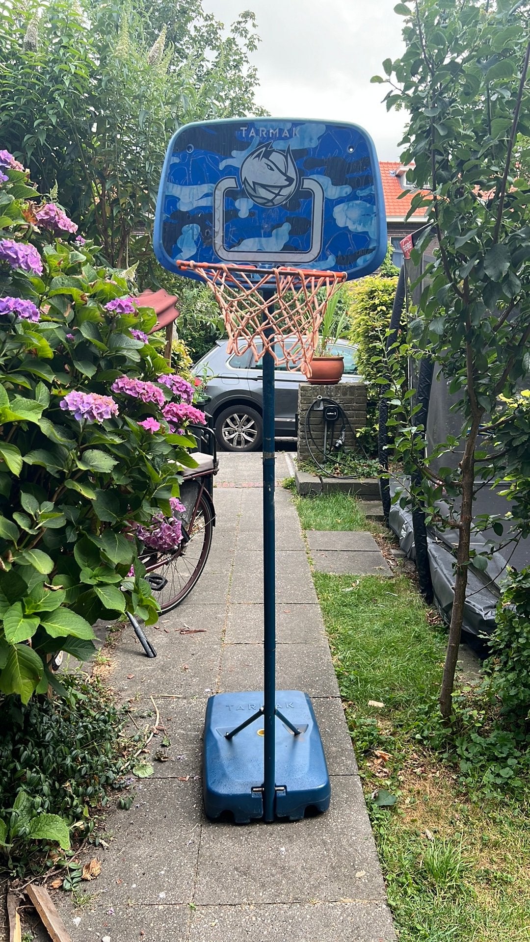 Basket, Ophalen, Gebruikt, Ring, Bord of Paal