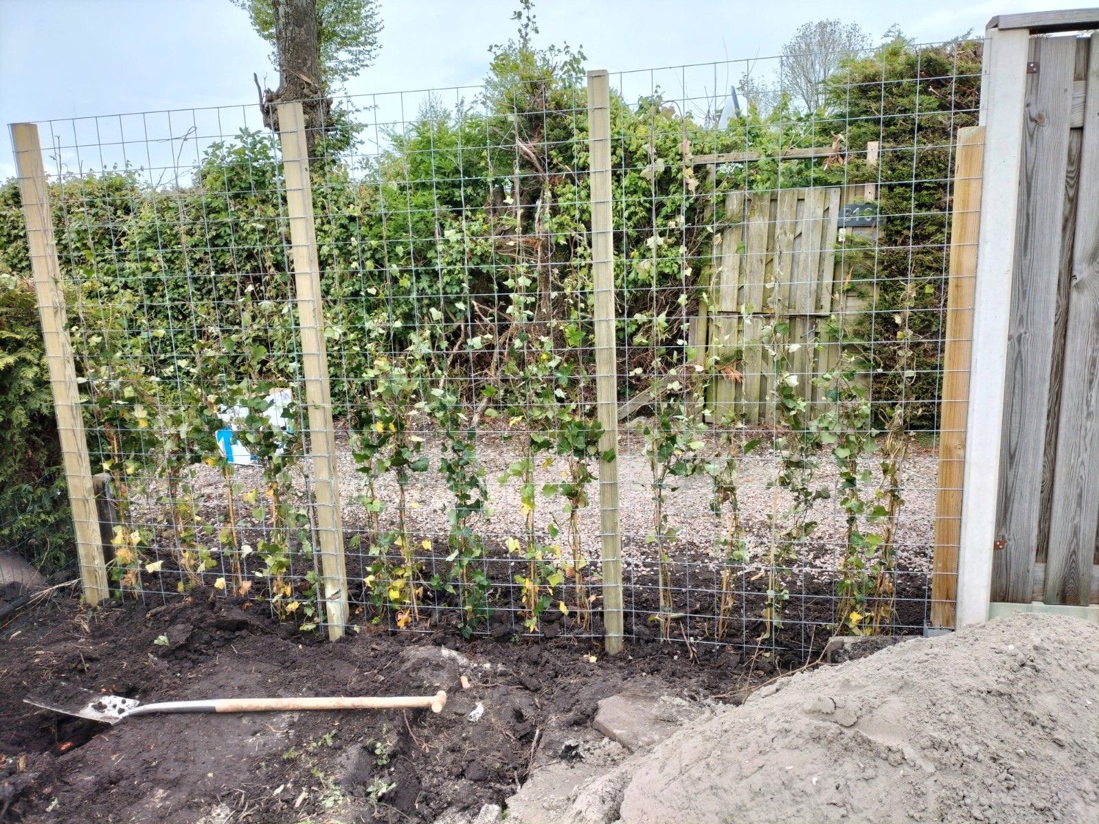 Tuingaas gaas net netten draadgaas klimrek tuin, Ophalen, Nieuw