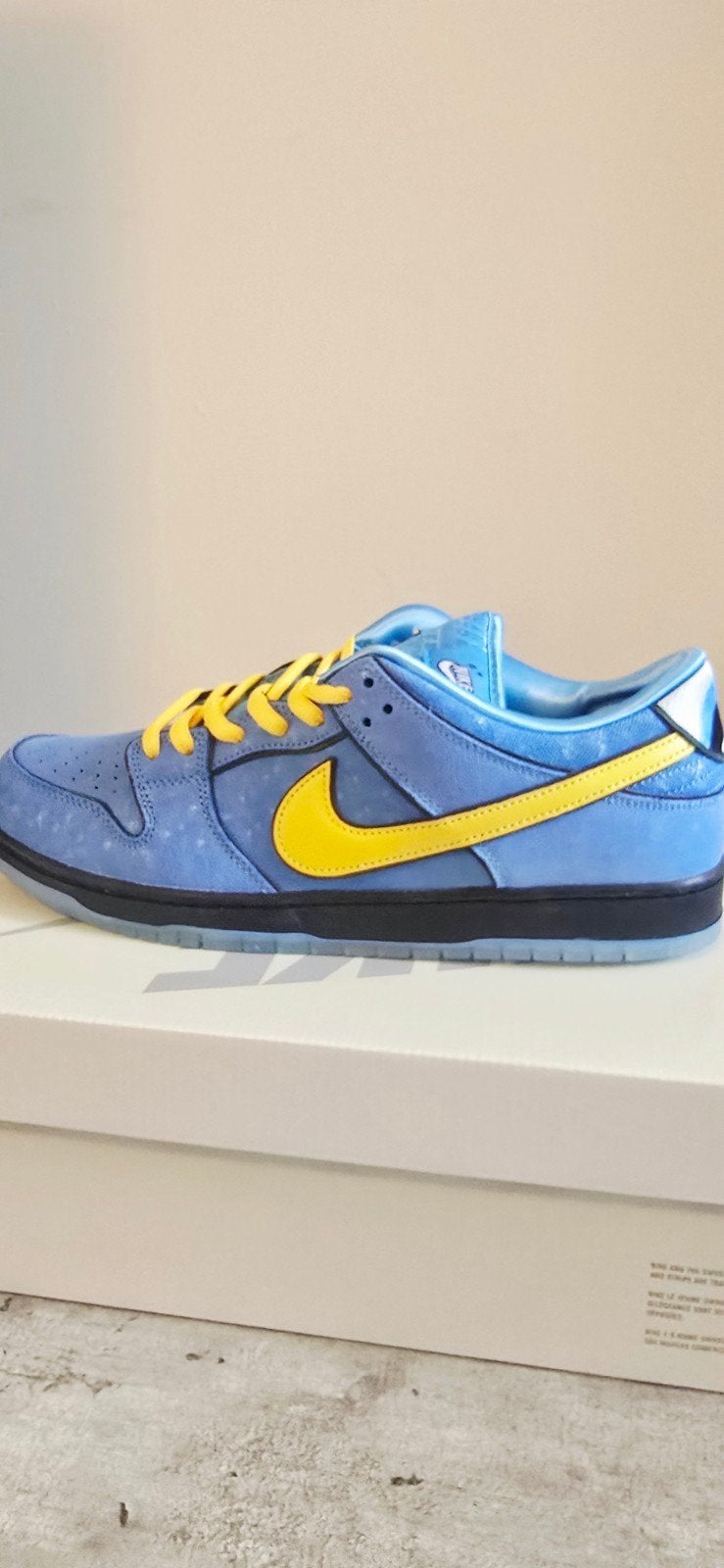 Nike SB Dunk Low The Powerpuff Girls Bubbles - Maat 47.5, Kleding | Heren, Schoenen, Ophalen of Verzenden
