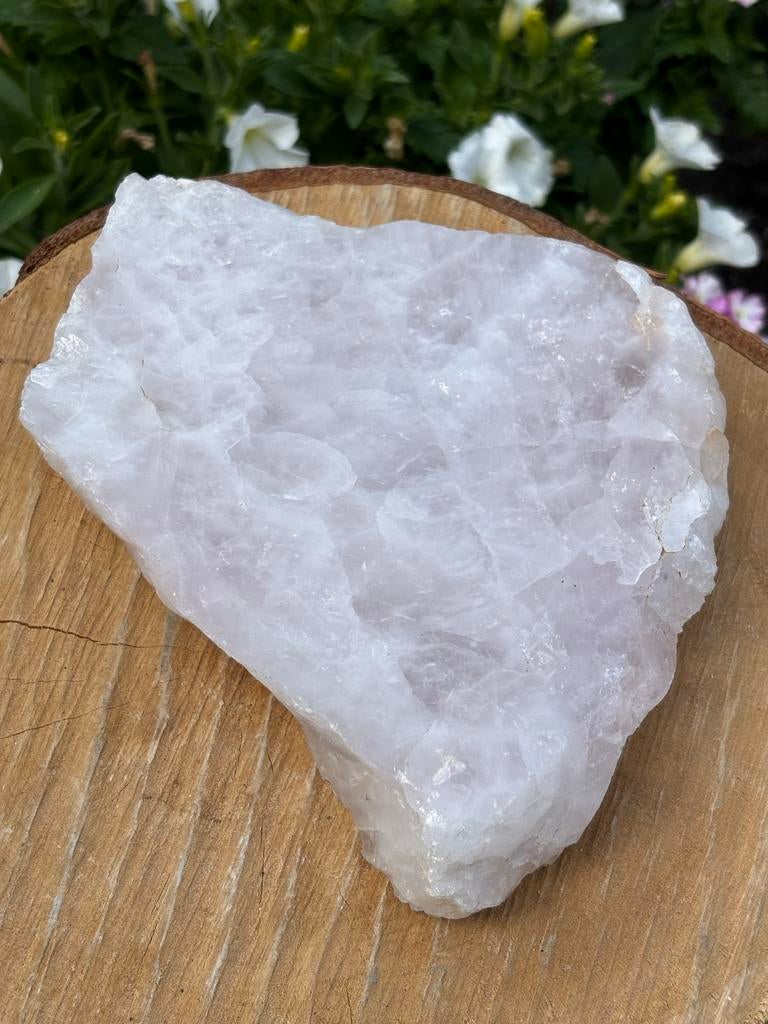 Grote Rozenkwarts Ruw - 1186 gram - Liefde & Harmonie, Ophalen of Verzenden, Mineraal