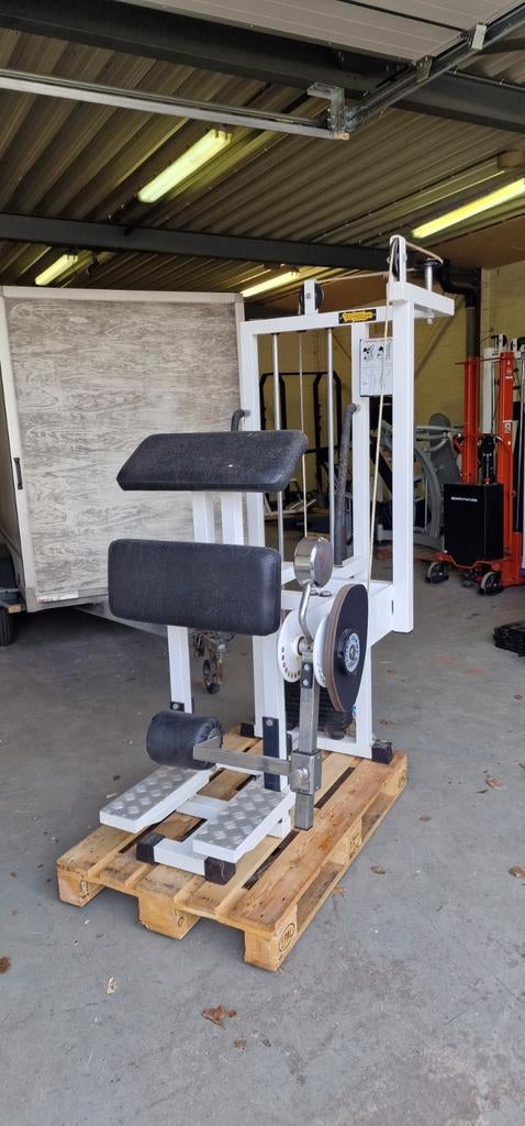 Technogym standing leg curl, Ophalen, Gebruikt, Benen, Overige typen