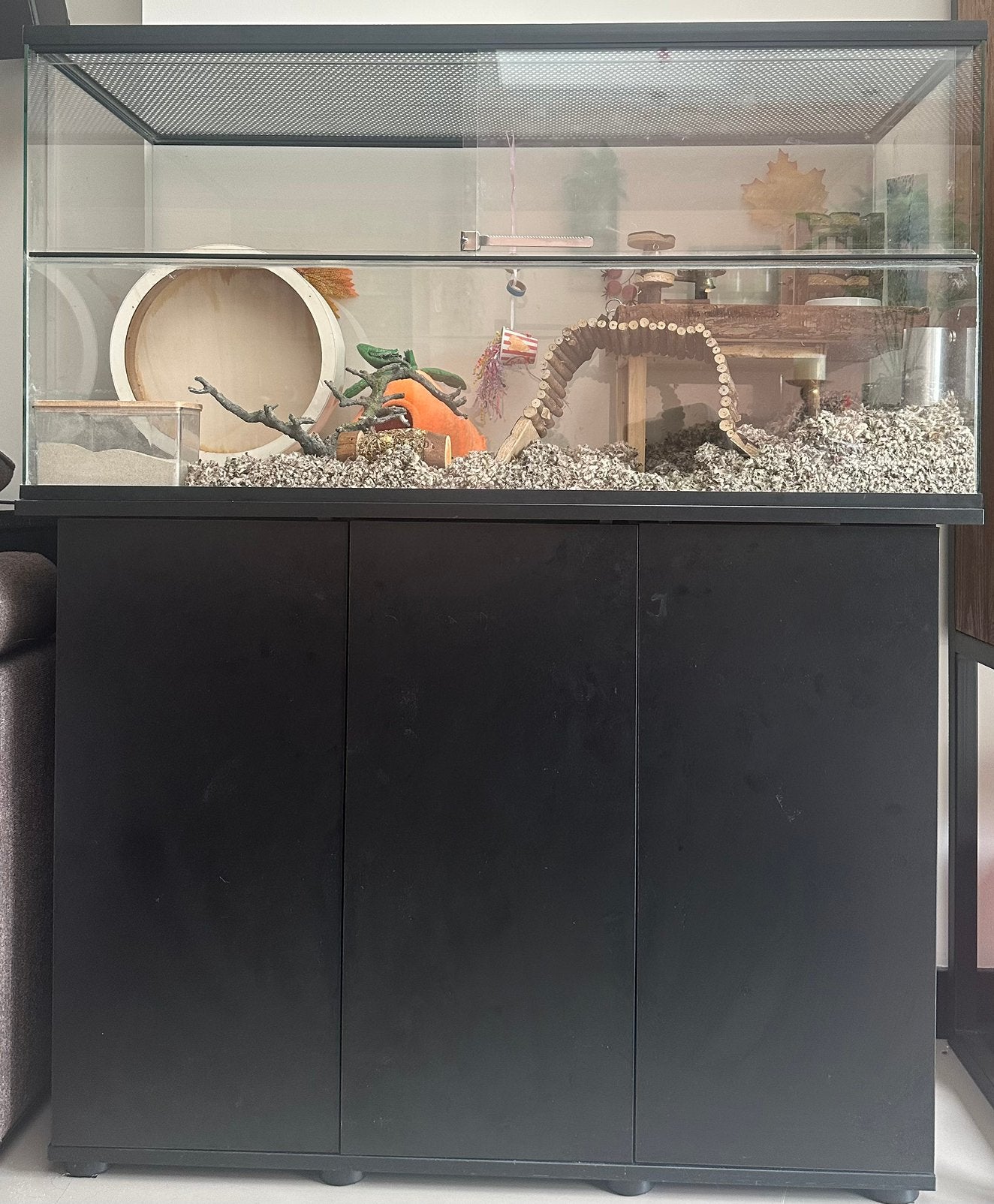 Compleet Terrarium / Gerbilarium 100x50x40 + Kast + Acc., Dieren en Toebehoren, Ophalen, Zo goed als nieuw, Overige typen