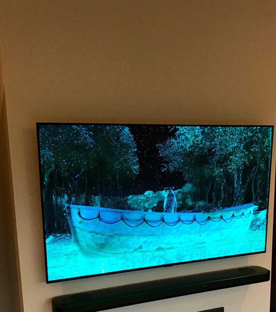 LG55C9PLA 55 inch oled tv in zeer nette staat, Ophalen, Zo goed als nieuw, 100 cm of meer, OLED