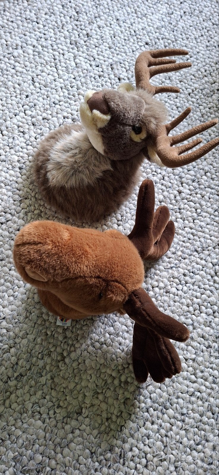 Twee pluche elanden knuffels - bruin voor aan de muur., Gebruikt, Overige merken, Overige karakters, Overige typen