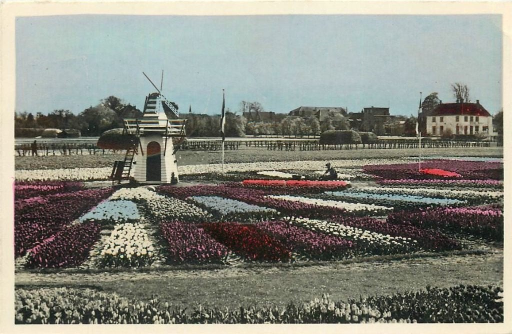 702-032-003 Nederland Bloembollenvelden, Verzenden, Voor 1920