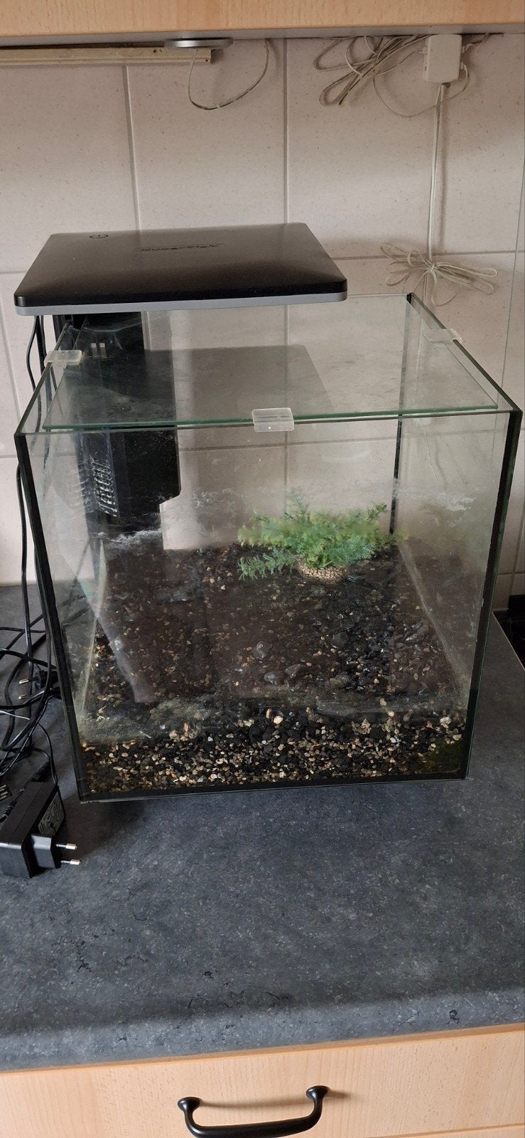 Superfish qubic 30 pro (zwart), Ophalen, Verwarming, Gebruikt, Leeg aquarium