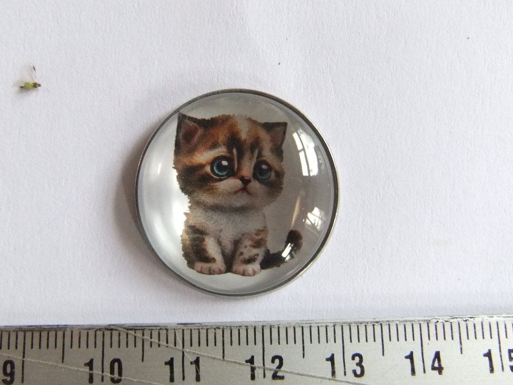 pin of speldje kitten, Verzenden, Nieuw, Overige onderwerpen