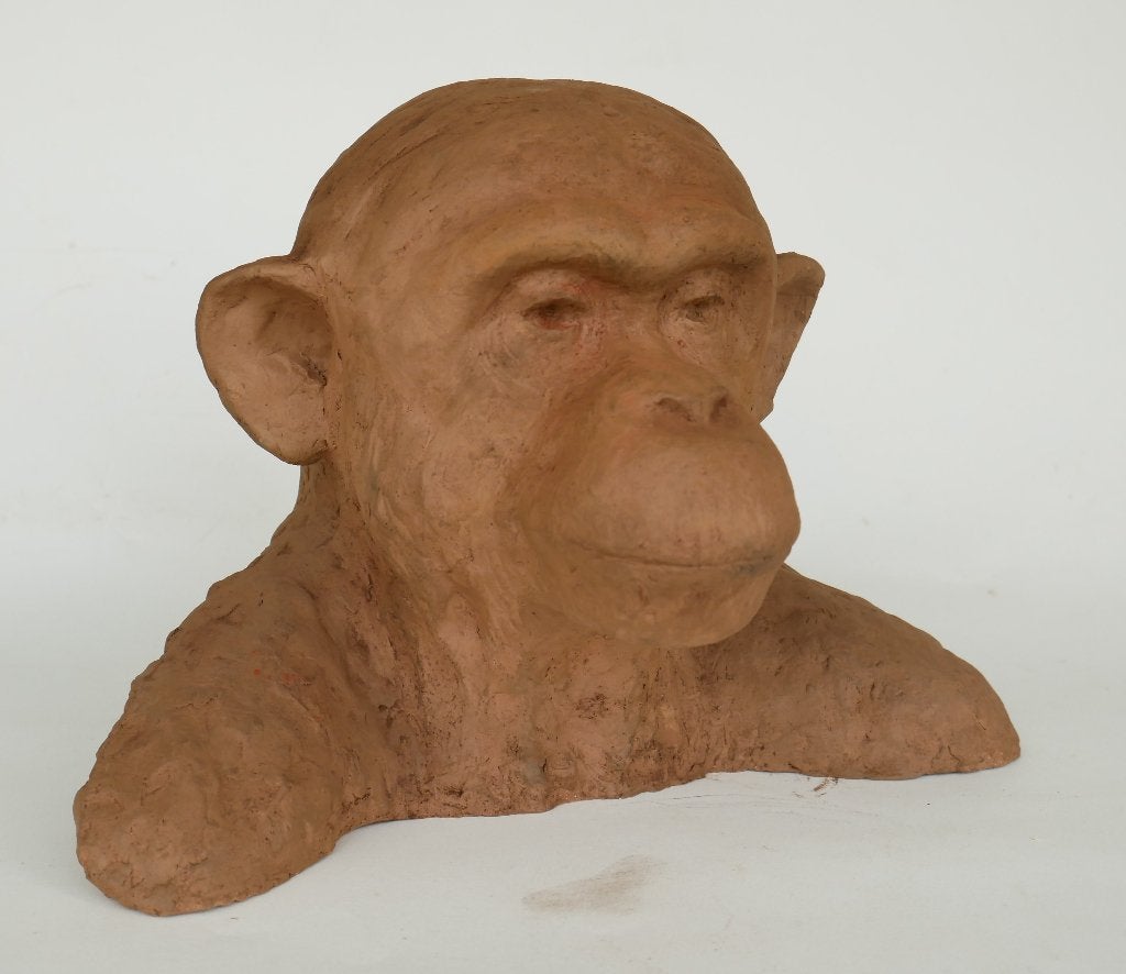 sculptuur animalier chimpansee aap, Ophalen of Verzenden, Gepatineerd, Steen of Keramiek, Beeld