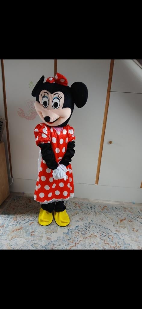 Minnie Mouse Mascotte Pak - Te Huur of Te Koop, Ophalen of Verzenden, Zo goed als nieuw, Pak of Jurk