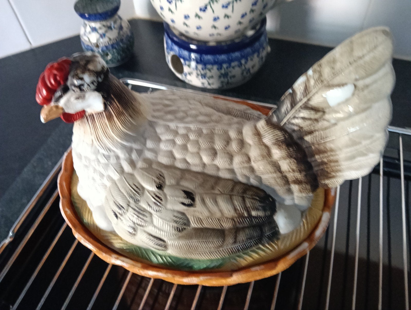Oude kip op eierschaal, Ophalen of Verzenden