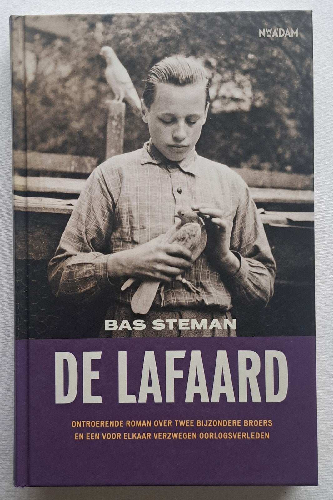 De lafaard - WOII - Apeldoorn 2 broers oorlogsverleden, Boeken, Tweede Wereldoorlog, Bas Steman, Nieuw, Ophalen of Verzenden