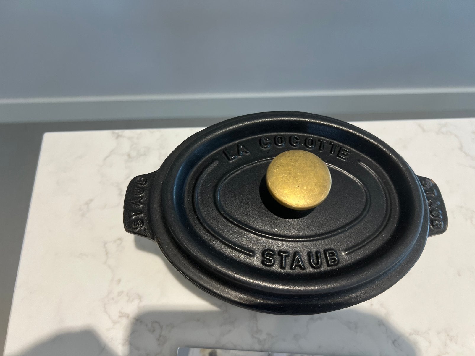 Staub la Cocotte 17 cm ovaal mat zwart, Huis en Inrichting, Gebruikt, Met handvatten, Ophalen of Verzenden, Staub