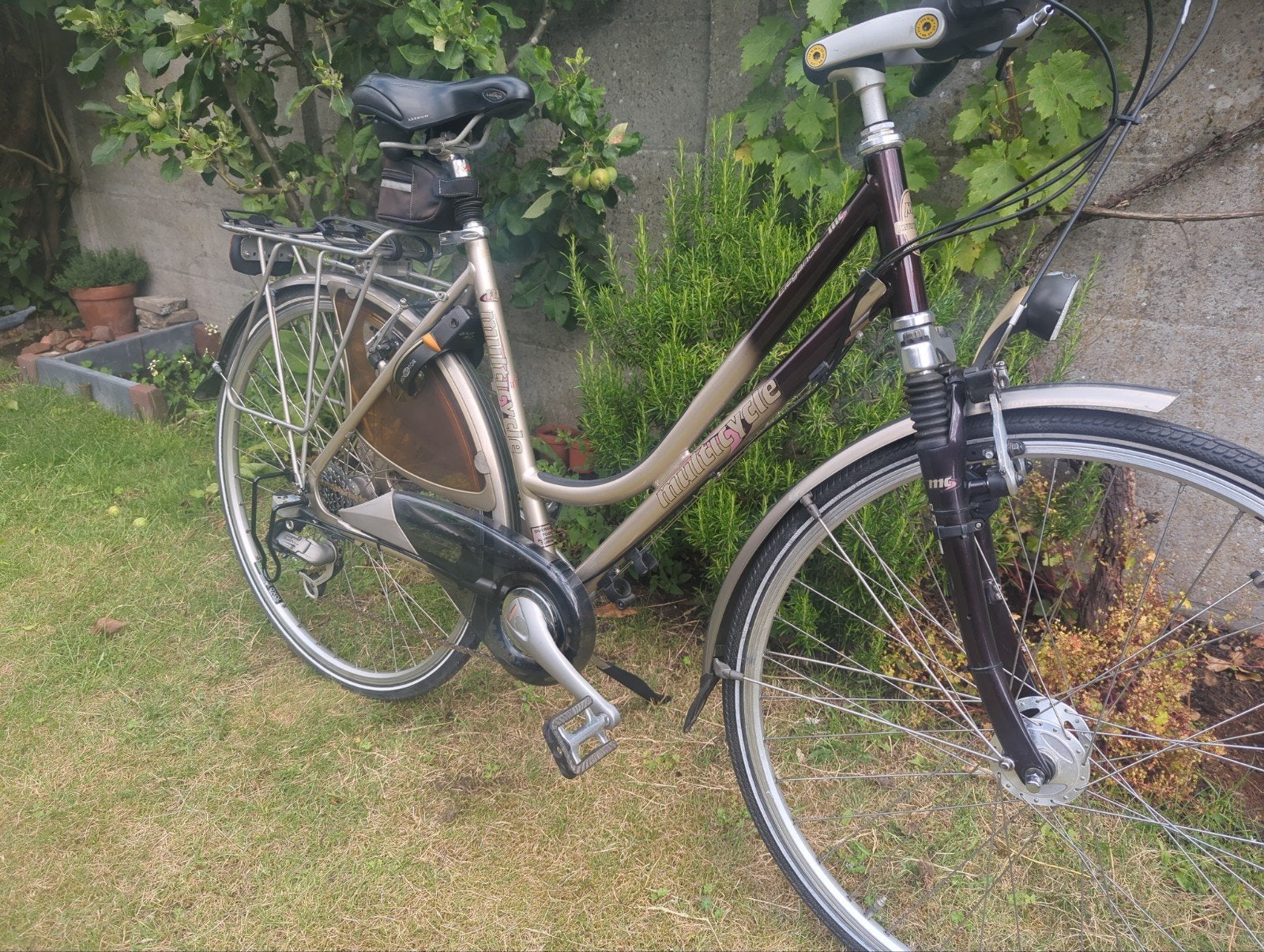 Zgan Multicycle Elegance Damesfiets, 53 tot 56 cm, Velgrem, Versnellingen, Zo goed als nieuw