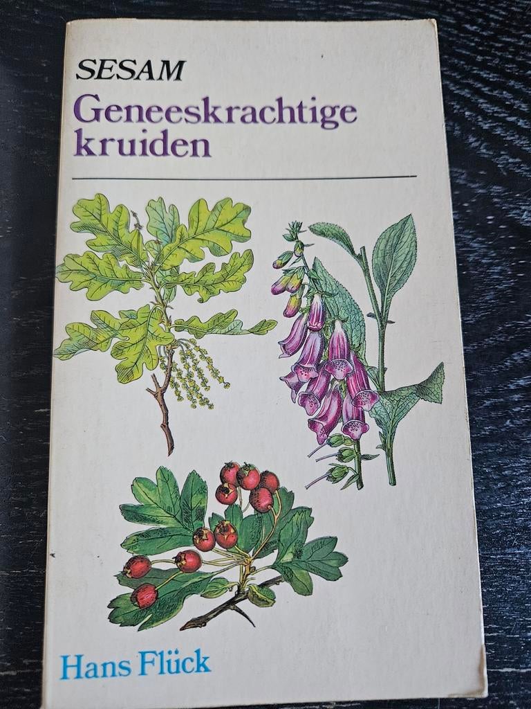 SESAM Geneeskrachtige kruiden - Hans Flück, Ophalen of Verzenden