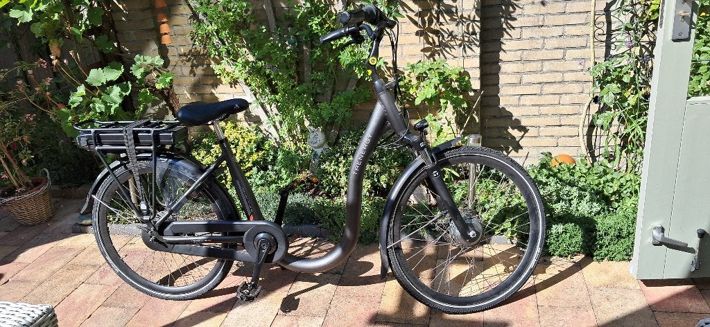 Elektrische fiets Trenergie Madeira, Minder dan 47 cm, Ophalen, Zo goed als nieuw, Overige merken
