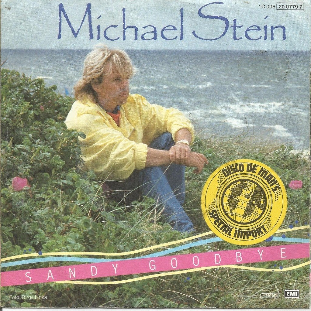 Michael Stein – Sandy Goodbye (1985), Cd's en Dvd's, Fotohoes, 7 inch, Ophalen of Verzenden, Zo goed als nieuw