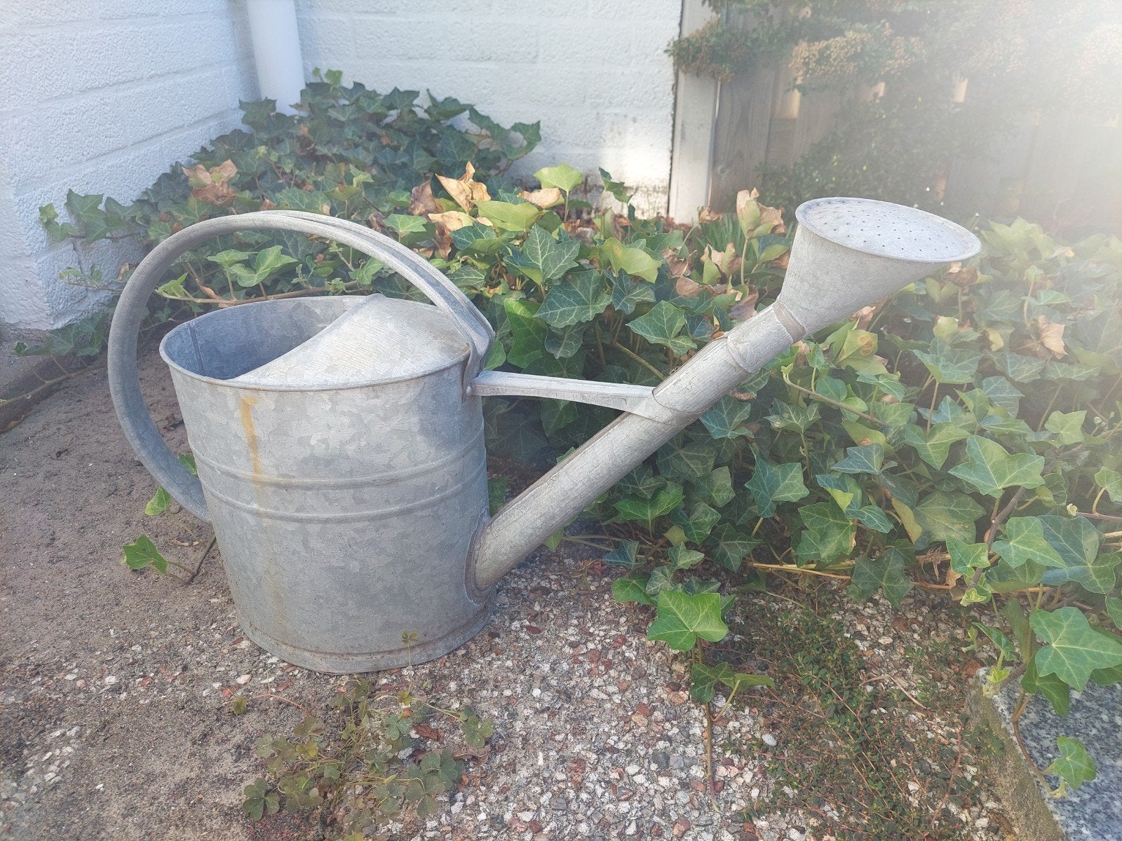 gieter, gebruikt voor planten, is LEK !, Tuin en Terras, Gieters, Ophalen, Gebruikt, Overige materialen