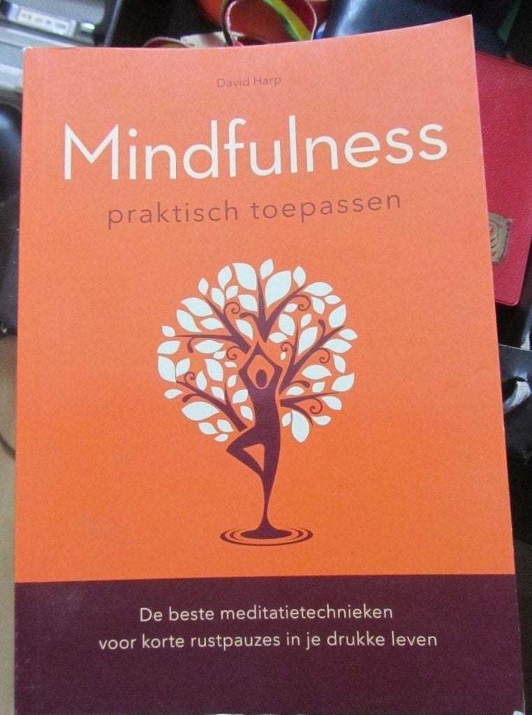 boek MINDFULNESS, Ophalen of Verzenden, Zo goed als nieuw, Overige typen