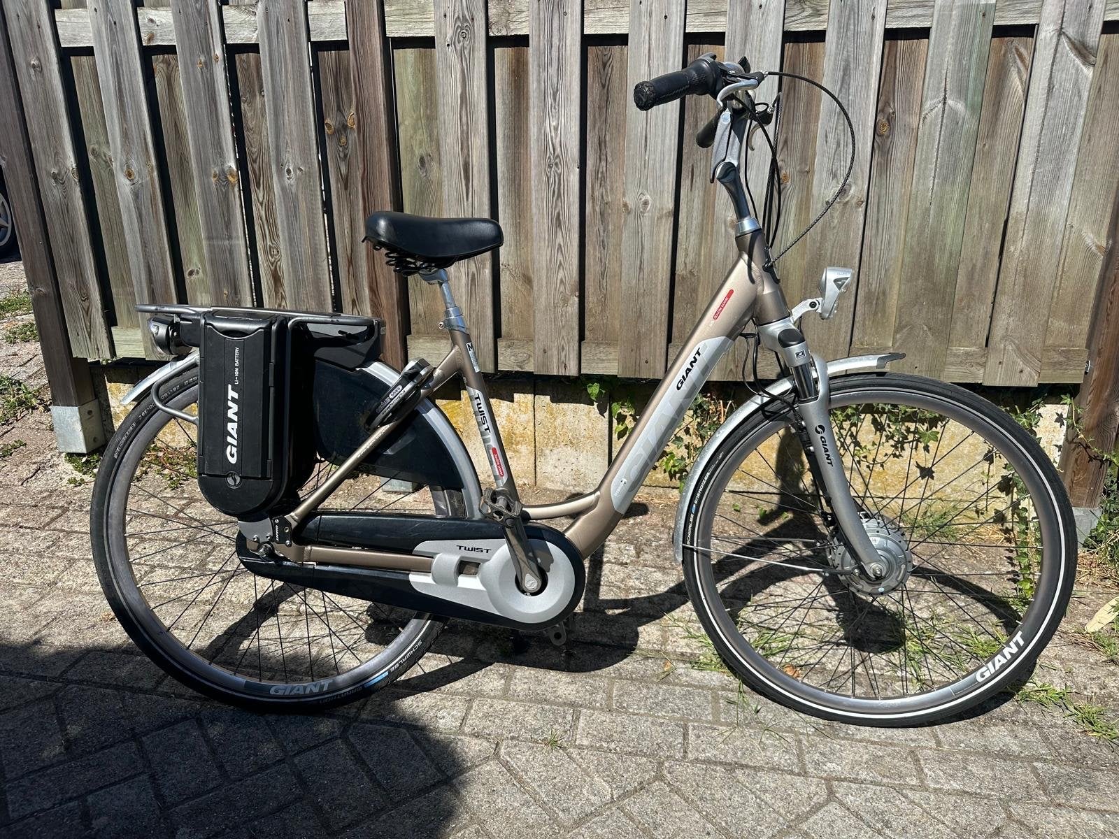 Giant Twist Go Double Power E-bike - Comfortabel en Betrouwb, Ophalen of Verzenden, Gebruikt, Giant
