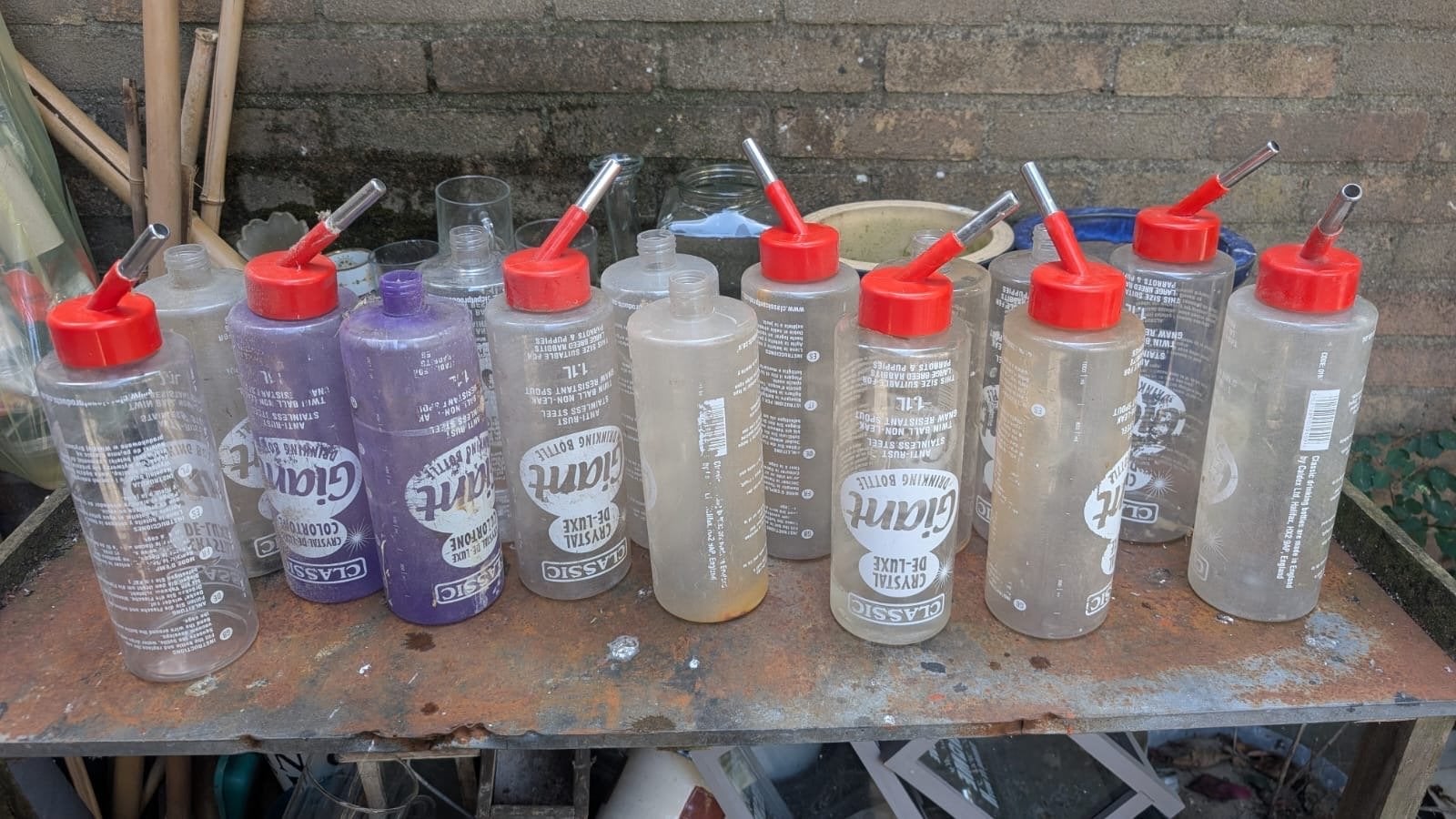 Heel veel grote Giant Classic drinkflessen konijn cavia, Ophalen of Verzenden