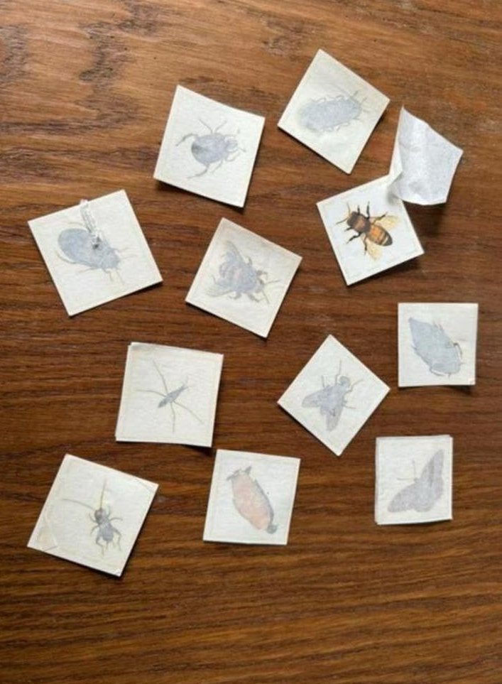 Albert Heijn insecten tattoos, Albert Heijn, Ophalen of Verzenden