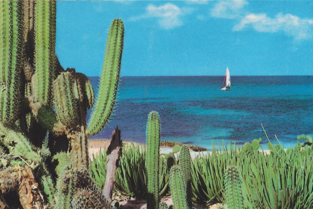 Aruba Cactussen kust, Verzamelen, Verzenden, 1980 tot heden, Ongelopen, Natuur
