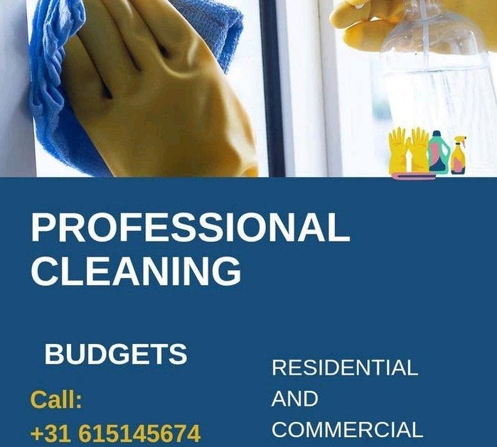 Cleaning service