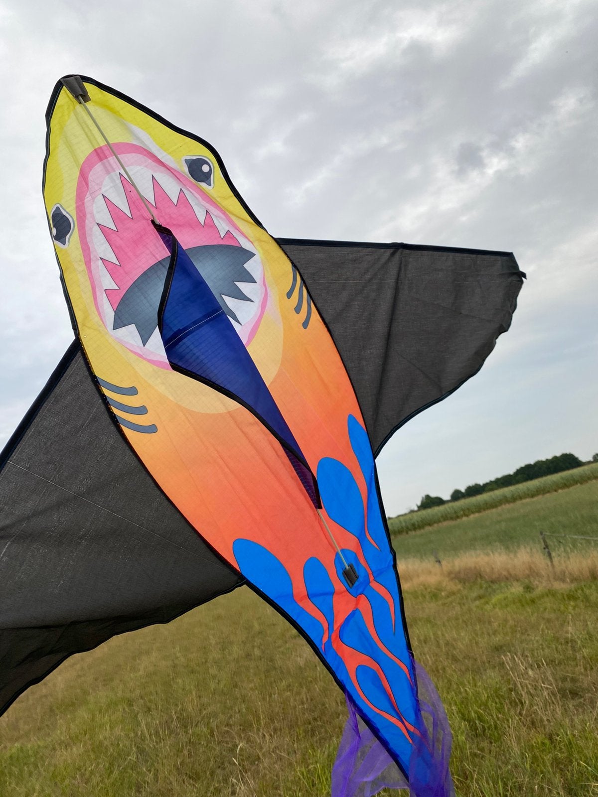 Stoere haaienvlieger! Nieuw, Sport en Fitness, Ophalen of Verzenden, Zo goed als nieuw, Eenlijns
